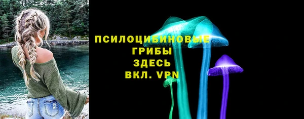 ECSTASY Белокуриха