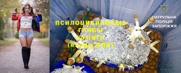 спиды Аркадак